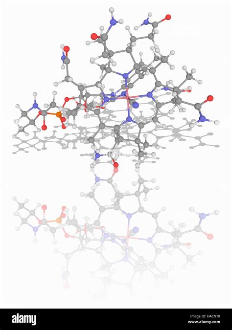 Cyanocobalamin hi-res stock photography and images - Alamy