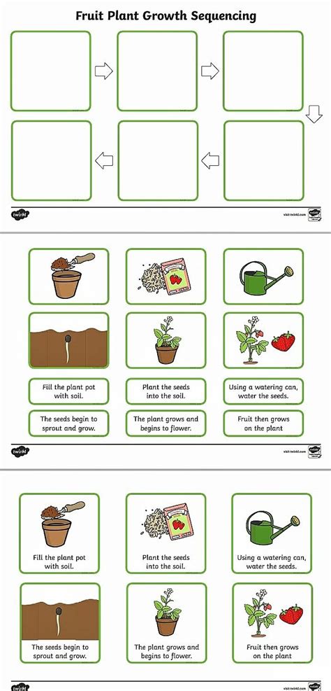 Ks2 Plant Growth Sequencing Worksheet