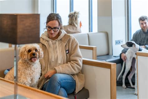 Ferry Pet Facilities Discover Ferries