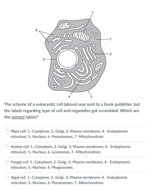 Solved 7 6 2 The scheme of a eukaryotic cell (above) was | Chegg.com 