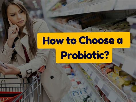 How To Choose A Probiotic Your Essential Guide Affpilot Ai