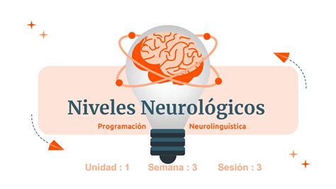 SOLUTION Clase 3 Niveles Neurologicos Studypool