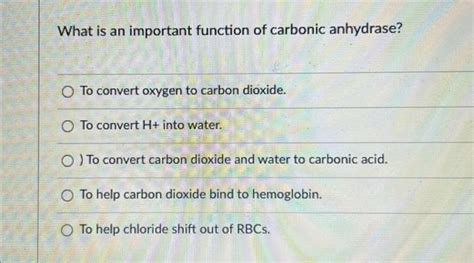 Solved What is an important function of carbonic anhydrase? | Chegg.com