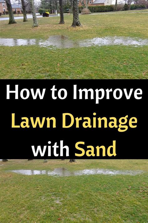 How To Improve Lawn Drainage With Sand Artofit
