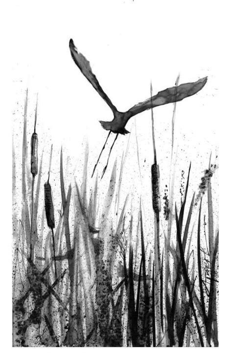 Freshwater Marshes Are Biodiversity Hotspots The Outside Story