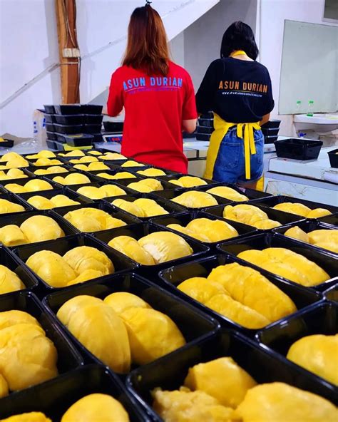 Durian Monthong Palu On Carousell