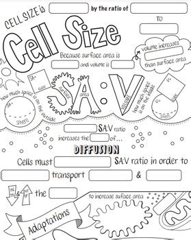 Cell Size Sketch Notes Doodle Notes By Sketchy Science Tpt