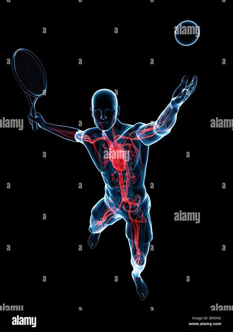 Tennis player, artwork Stock Photo - Alamy