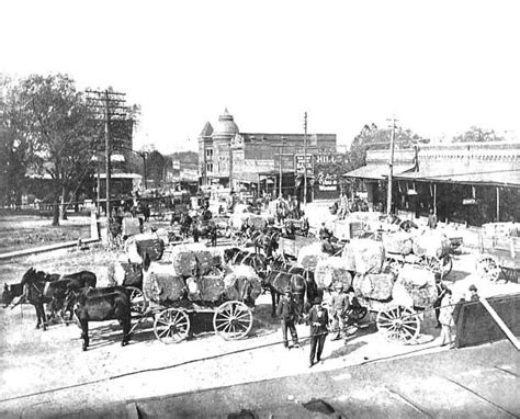 Cotton in the Covington, Tennessee square ca. 1910 | Historic buildings ...