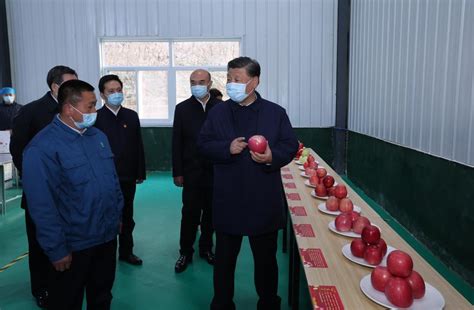 Xi Stresses Rural Revitalization In Inspections To Shaanxi Henan