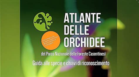 San Marino Atlante Delle Orchidee Il 27 Febbraio Presentazione Del