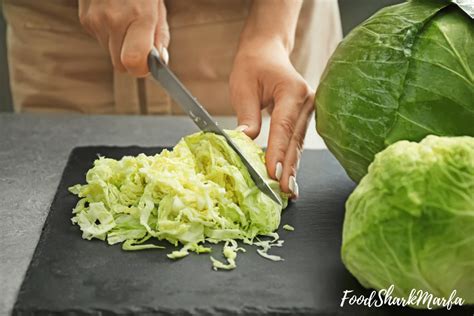 Can You Freeze Cabbage Yes And Heres How To Do It Food Shark Marfa