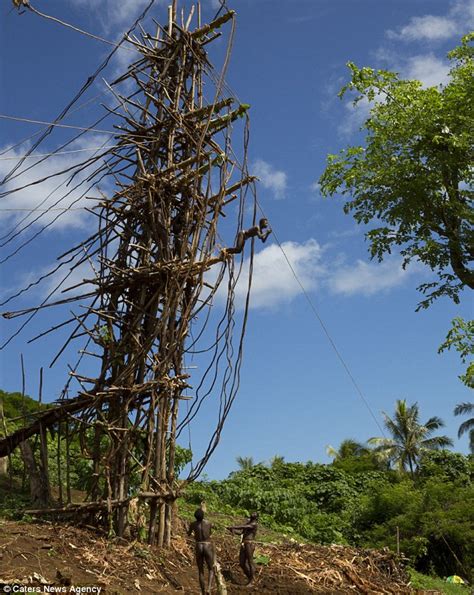 Pentecost Tribesman Indulge In Ancient Bungee Jumping Rite Of Passage