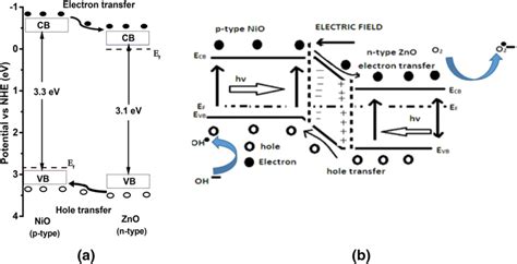 A Position Of Valence Band And Conduction Band Edges Of Zno And Nio