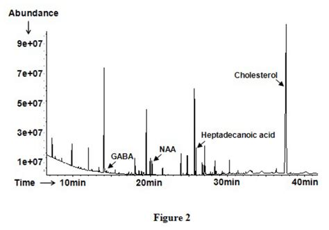 The Typical Gc Ms Total Ion Chromatograms From Pfc After Chemical Download Scientific Diagram