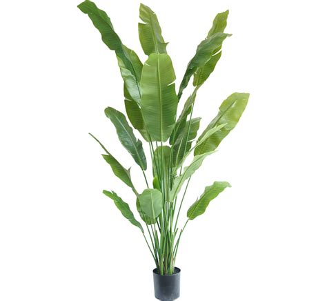 Kunstplant Strelitzia Nicolai Cm Tuinartikelen Nu