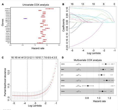 Figure 1 From A Novel Hypoxia Driven Gene Signature That Can Predict