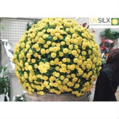 25 Photo of Outdoor Artificial Plants Uv Protected