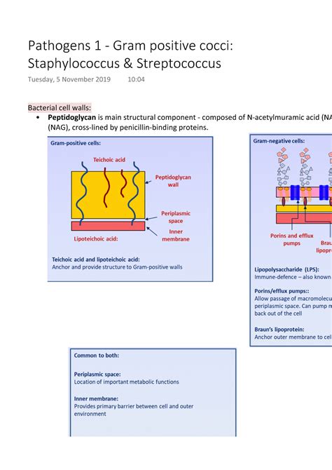 Pathogens Gram Positive Cocci Staphylococcus Streptococcus