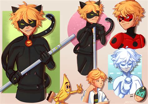 Adrien Chat Noir Mister Bug Chat Blanc Miraculous Ladybug Fan