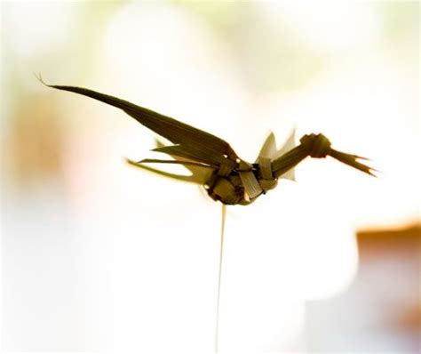 Dominica Bird Of Paradise Tourism Marketing Travel Marketing