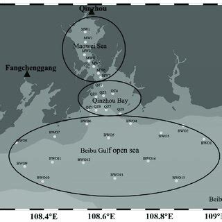 Map of sample sites in the Beibu Gulf (Maowei Sea; Qinzhou Bay; Beibu ...