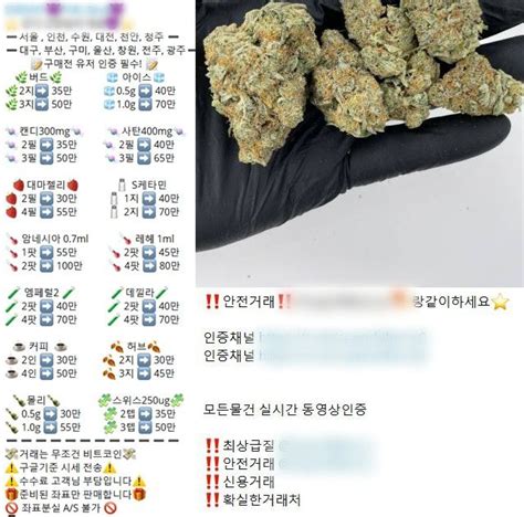 5초면 판매책 접선 불법 마약 유통 경로 된 구글·트위터·텔레그램 네이트 뉴스