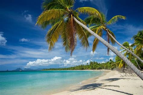 Plage Des Salines Martinique Photos Dsullana