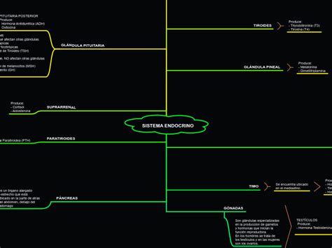 Sistema Endocrino Mind Map