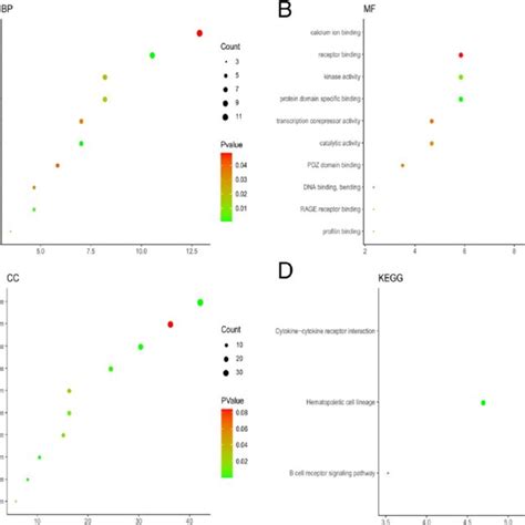 Go Functional And Kegg Pathway Enrichment Analysis Of Degs Go