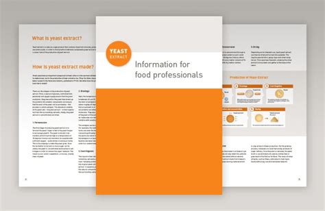 Our new brochure for professionals is now available | Yeast Extract