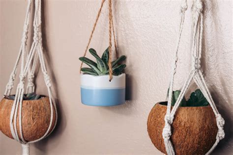 Spruce Up Your Home With Tropical Coconut Pots Diy Macrame Plant