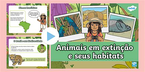 Atividades Animais Em Extinção - 7