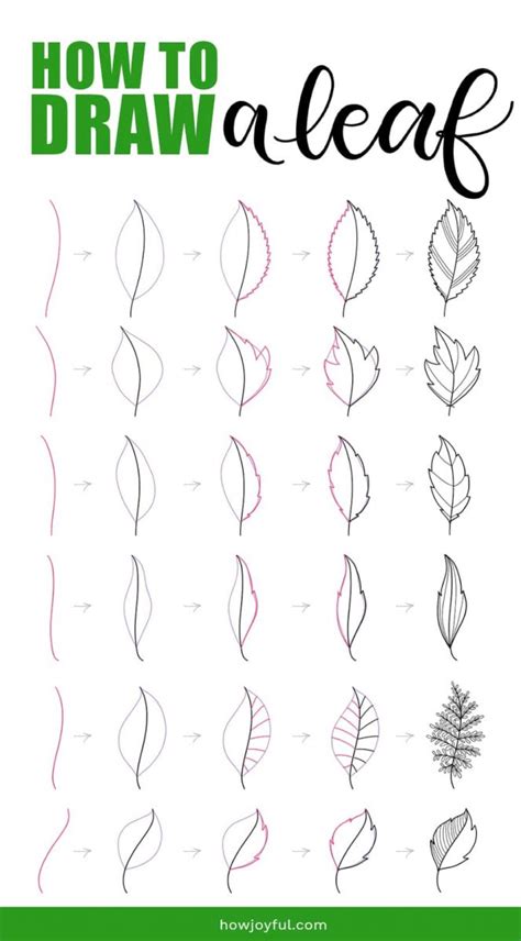 10 Leaf Drawing Step By Step Tutorials Smiling Colors, 52% OFF