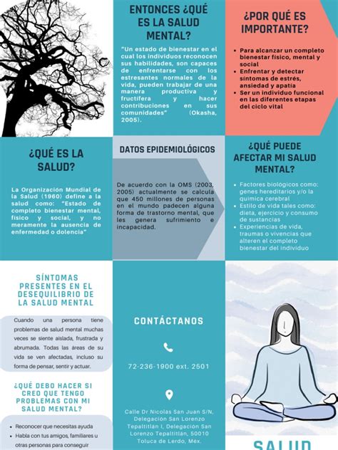 Salud Mental Folleto Pdf Salud Mental Trastorno Mental