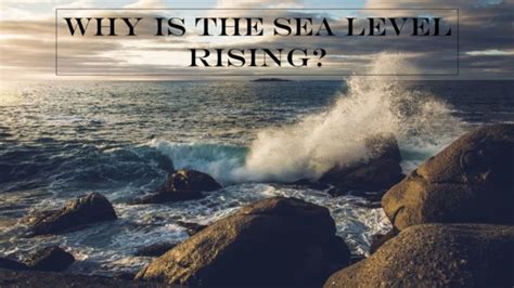 7 reasons Why the Global sea level is rising - Yo Nature