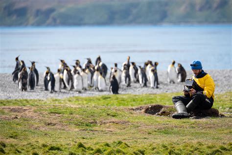 An eye in the sky: monitoring animal colonies using drones in the