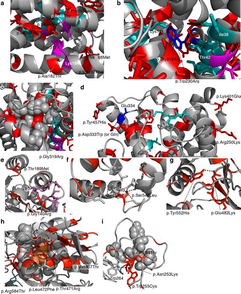 Mutations In B 0 AT And RBAT In All Images The Mutated Residues Are