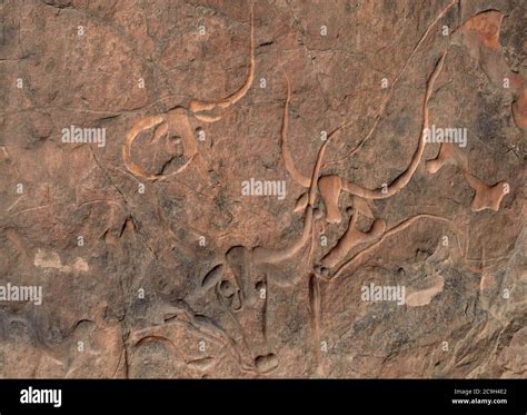 Prehistoric Rock Art And Engravings In Algeria The Tadrart Rouge And