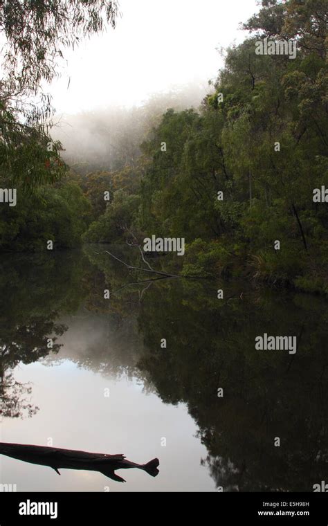 Early Morning Fog As Dawn Bathes The Warren River In Warming Light