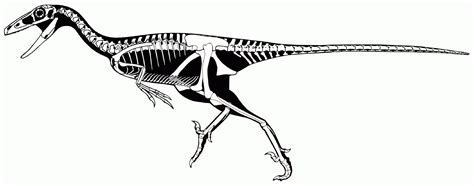 Troodon Coloring Page - Coloring Home