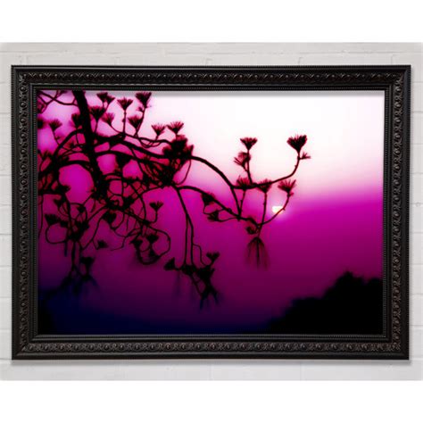 Bright Star Pink Haze Einzelner Bilderrahmen Kunstdrucke Wayfair De