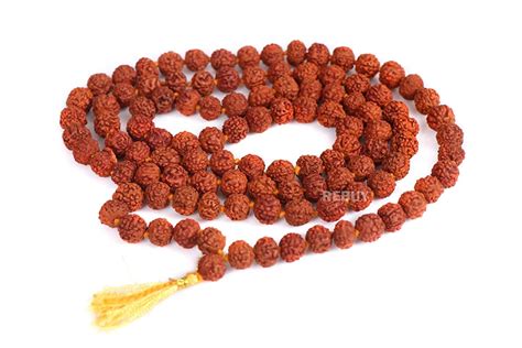 Buy Rebuy Mukhi Rudraksha Mala Five Mukhi Rudraksha Necklace Mala