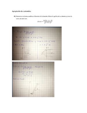 Trabajo final calculo 2 Cálculo 2 Studocu