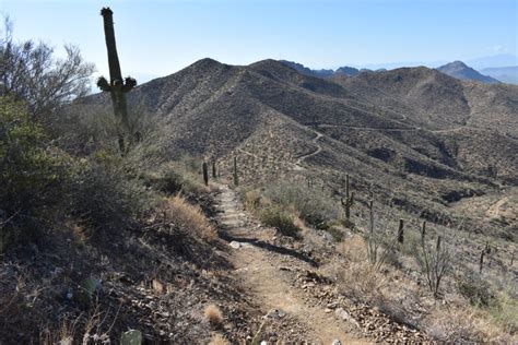 Best Hiking Trails - Tucson Mountains - Explore the Tucson Mountains