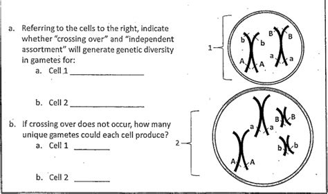 Solved Referring To The Cells To The Right Indicate Whether