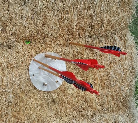 30 yards after a few weeks : r/Archery