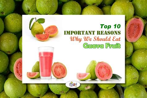 Top 10 Health Benefits Of Guava Fruit Pinoy Recipe At Iba Pa