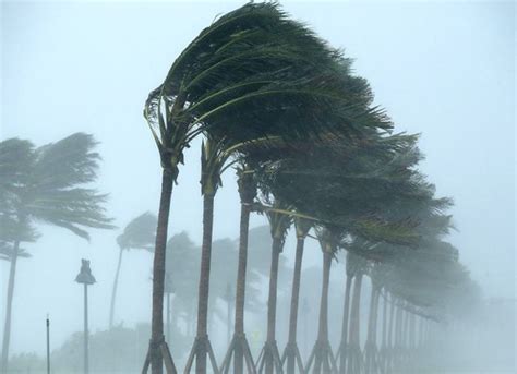 Meteo Venti In Arrivo Sfuriata Con Raffiche Fino A Km H