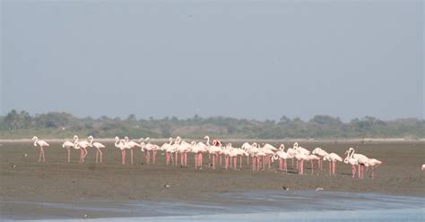 TURISMANDO POR AÍ Blog de Thiago de Menezes Há Turismo na Guiné Bissau